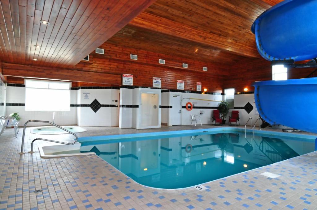 戈尔登塔维小屋花园体育人旅馆的一座大型游泳池,位于一座拥有木制天花板的建筑中