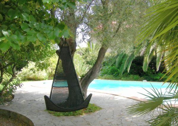 滨海拉塞讷康帕涅博索莱伊旅馆的悬在泳池旁树上的吊床