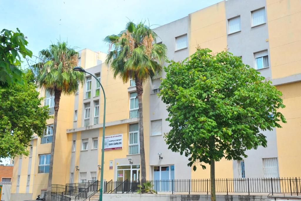 马拉加Micampus Málaga的一座棕榈树建筑