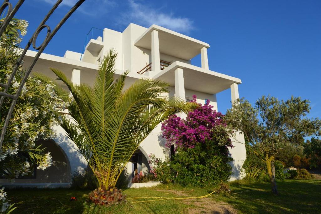 圣阿纳阿雷西Casa Shezella的前面有植物的白色建筑