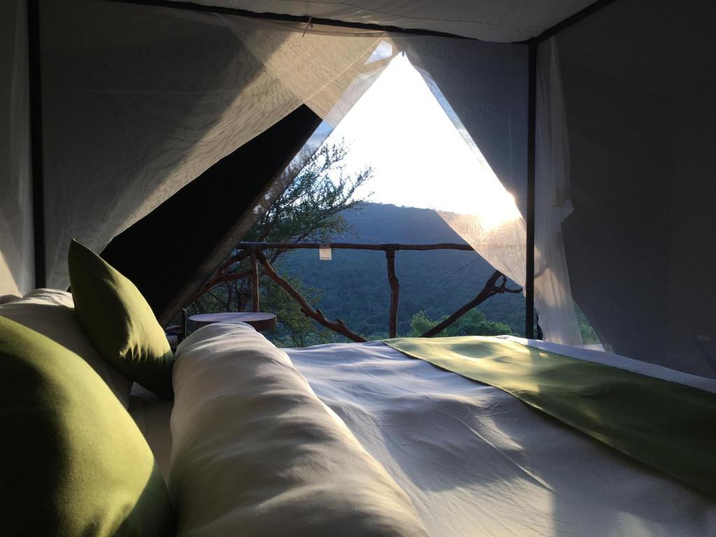 卡拉图佩贝尼罗提亚旅馆的一张位于带大窗户的帐篷内的床铺