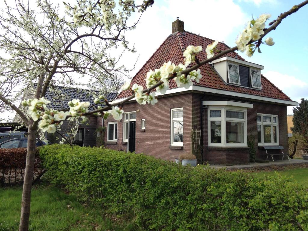 Nijeveen欧普科尔德维恩住宿加早餐旅馆的前面有一棵开花的树的房子