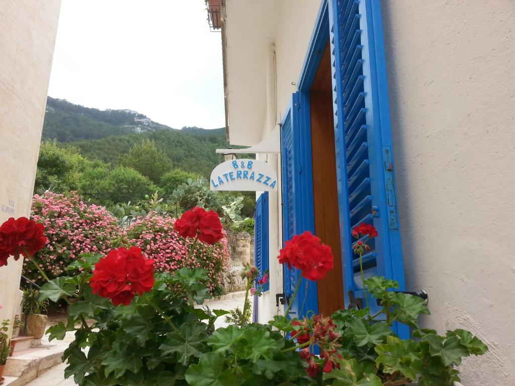马里迪莫B&B LA TERRAZZA的大楼里一扇蓝色的门和红色的鲜花