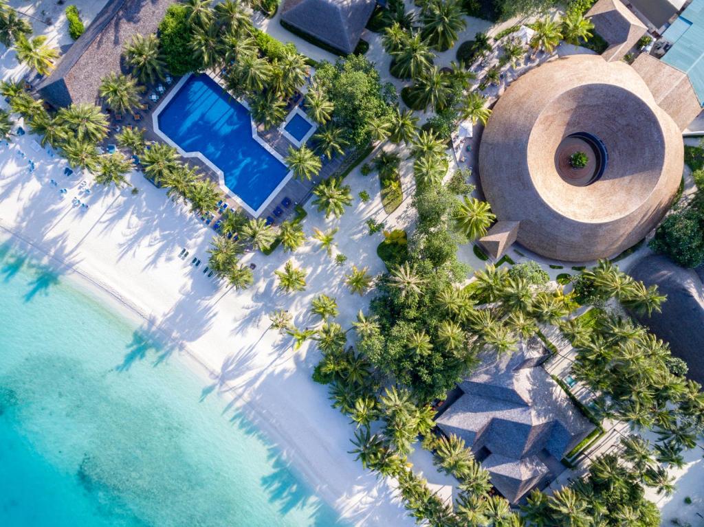 迪弗西Meeru Maldives Resort Island的棕榈树度假村的游泳池景