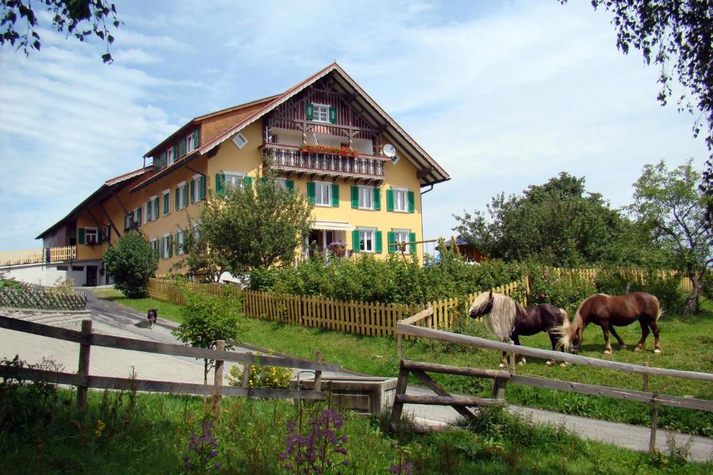 MöggersBio-Bauernhof Heidegger的两匹马站在房子前面