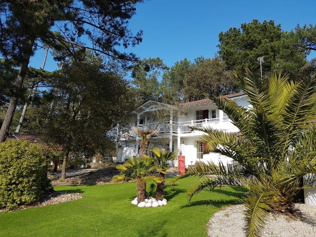 诺亚芒提亚普拉套克斯酒店的院子里有棕榈树的白色房子