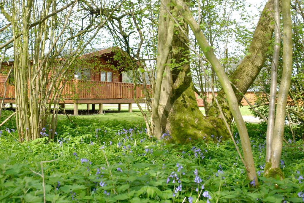 温彻斯特South Winchester Lodges的一座花园,花园内有房子、树木和鲜花