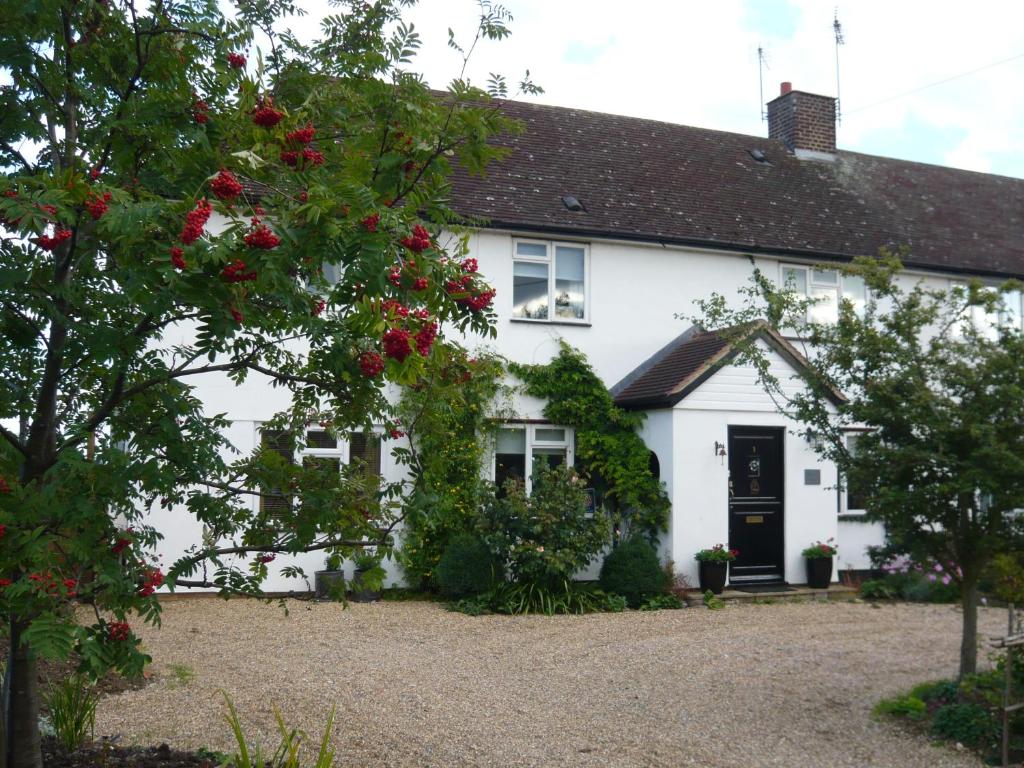 BramfieldThe Kings' House的前面有红玫瑰的白色房子