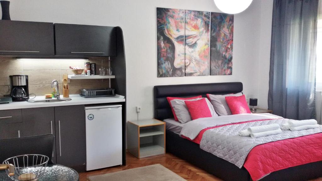 奥赫里德豪斯公寓及客房的一间卧室配有一张带红色枕头的床和一幅画