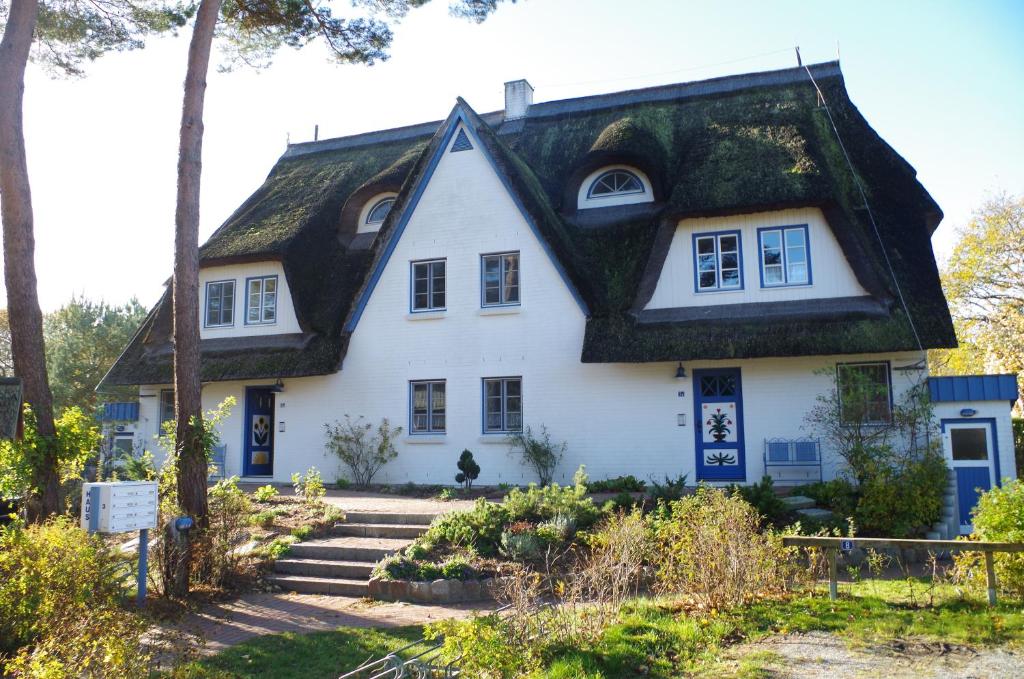 青斯特FeWo Sonnenblume Achtern Diek的白色的茅草屋顶房屋
