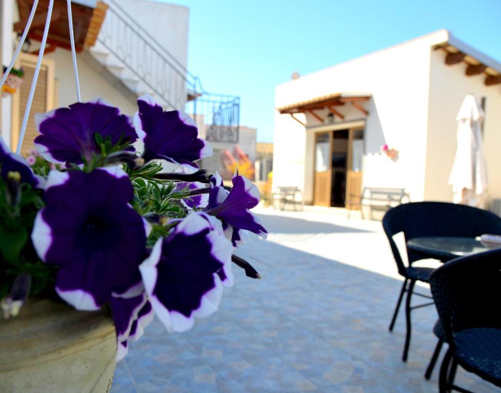 罗戈·格兰德Il Baglio的一张桌子上一束紫色花