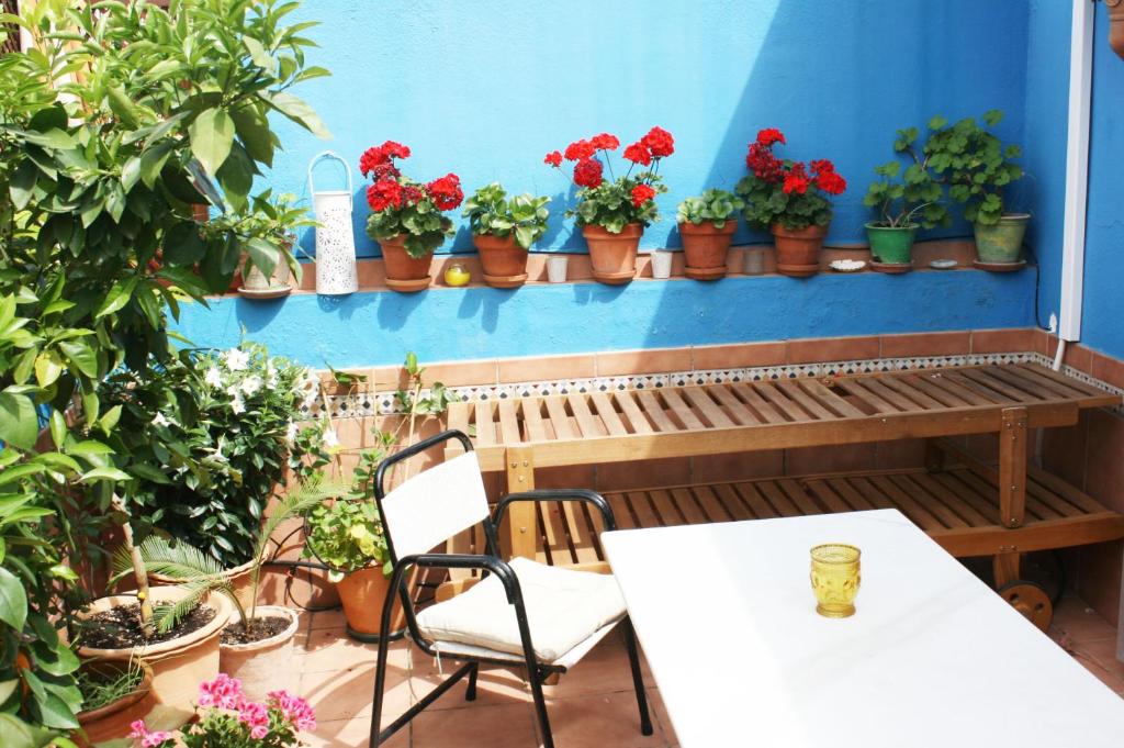 塞维利亚La Terraza Azul的天井配有桌椅和盆栽植物