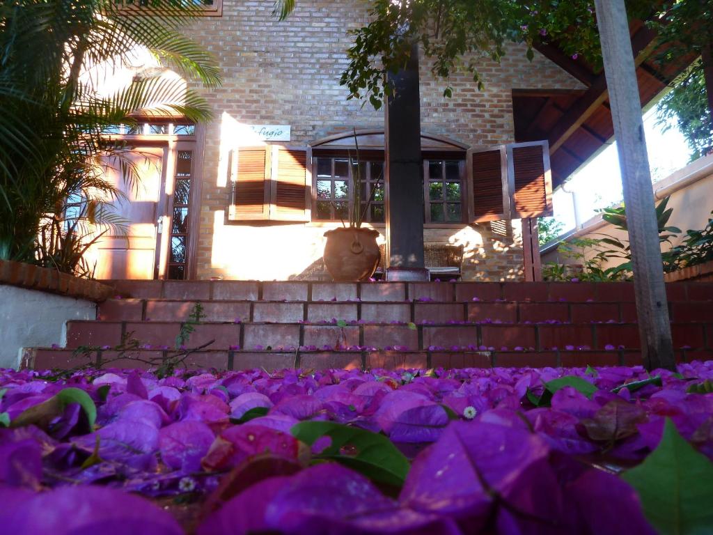 伊瓜苏El Refugio的一只泰迪熊坐在一座紫色花房前