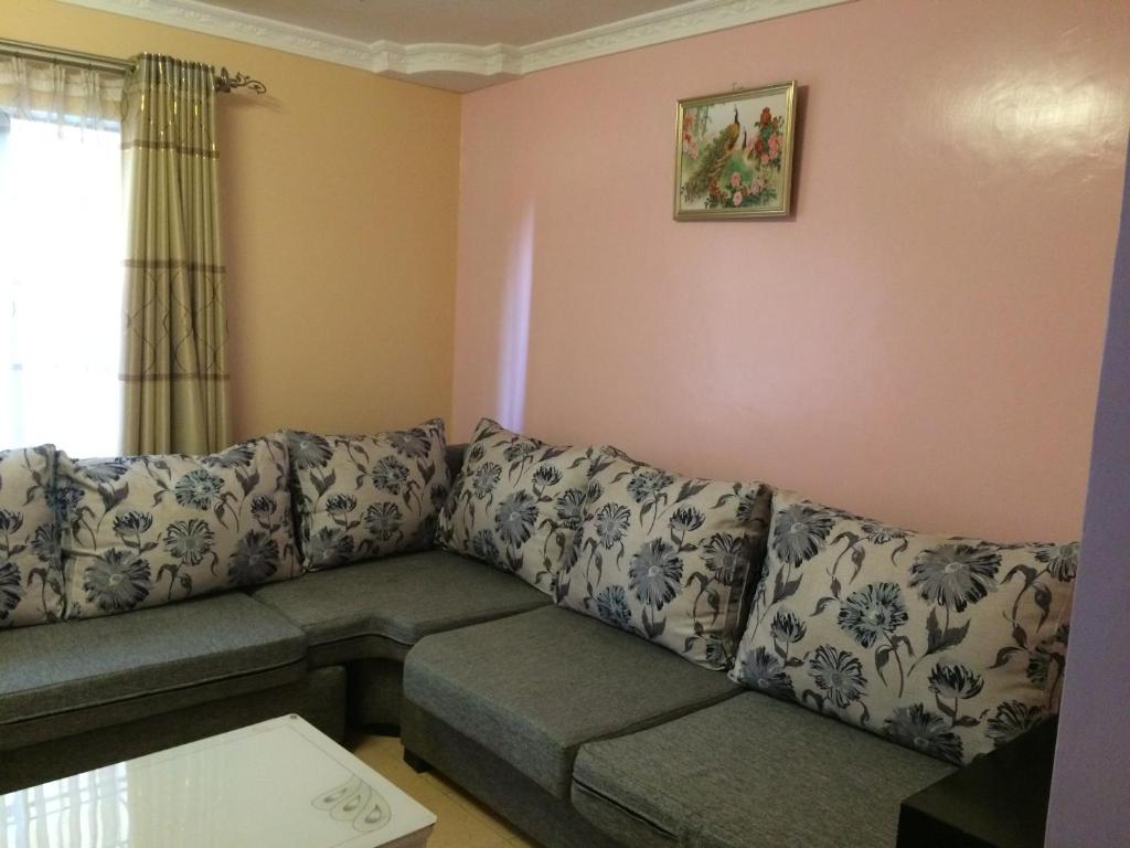 内罗毕朴穆兹卡公寓的带沙发和窗户的客厅