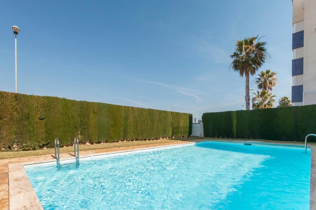 奥利瓦Bolitx的围栏和棕榈树旁边的游泳池