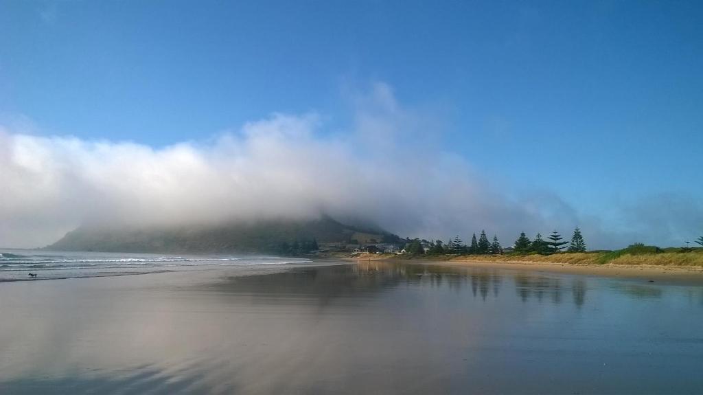 斯坦利斯坦利海滩度假屋 的一片绿树成荫的海滩,山底下