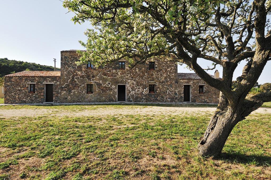AggiusStazzu Coiga的前方有树的古老石头建筑