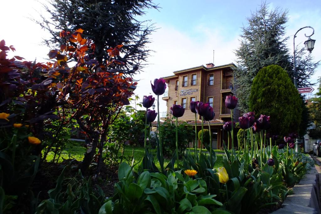 伊斯坦布尔图尔库豪斯酒店的一座花园,在房子前面种有紫色的花朵
