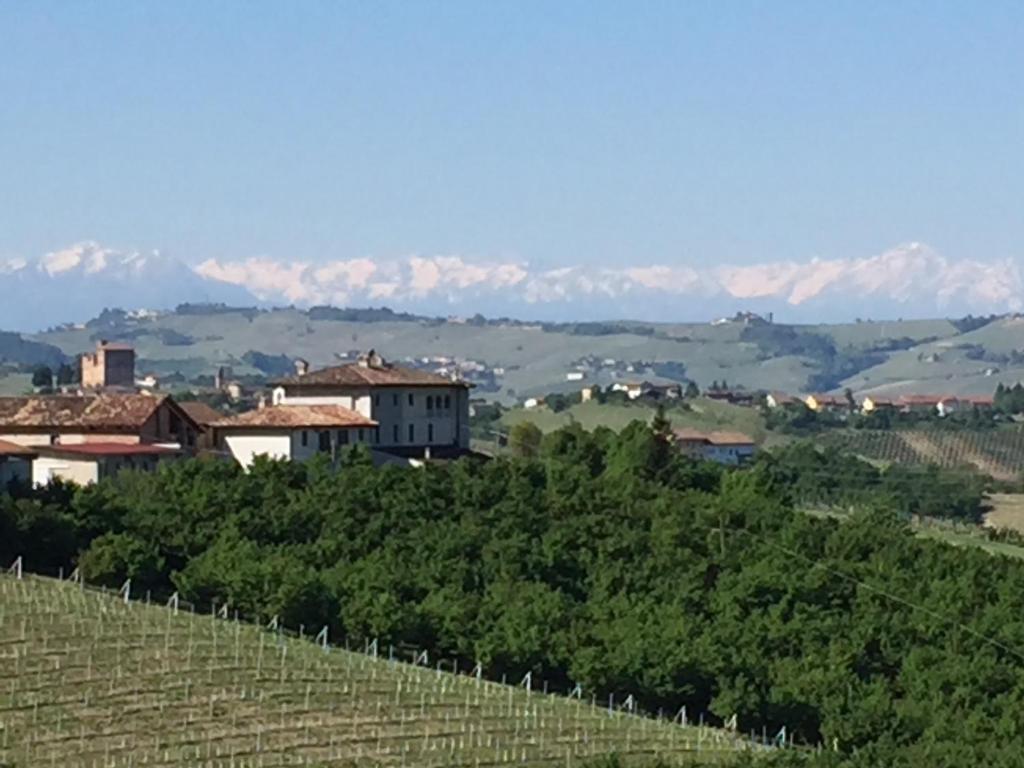 阿尔巴Cascina Baresane的享有葡萄园的景色,后方是群山