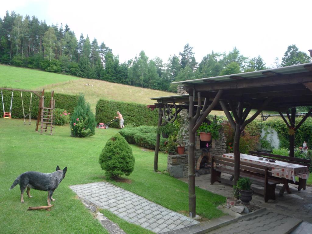Dlouhá VesUbytovani Eden的站在花园草地上的狼