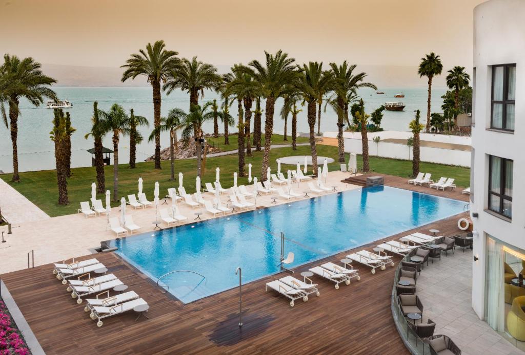 提比里亚加里利海畔加里利海U精品酒店的享有带椅子和棕榈树的游泳池的顶部景致