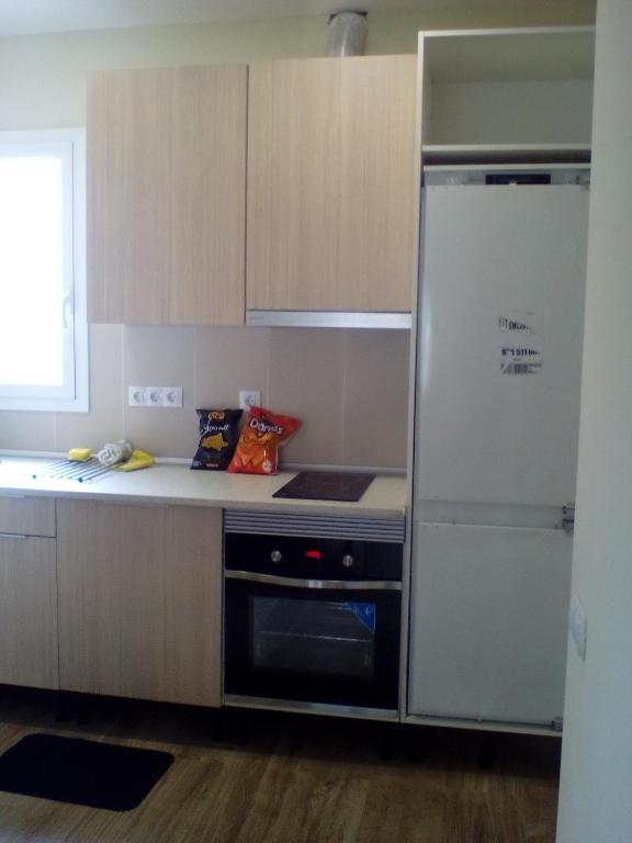 略夫雷加特河畔奥斯皮塔莱特Castel Apartments的厨房配有冰箱和炉灶。