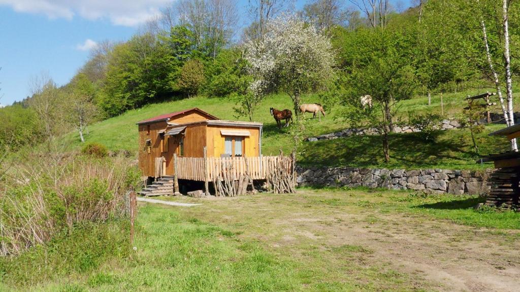 拉普特鲁瓦La roulotte du bucheron的山丘上的小木房子,在田野里饲养着动物