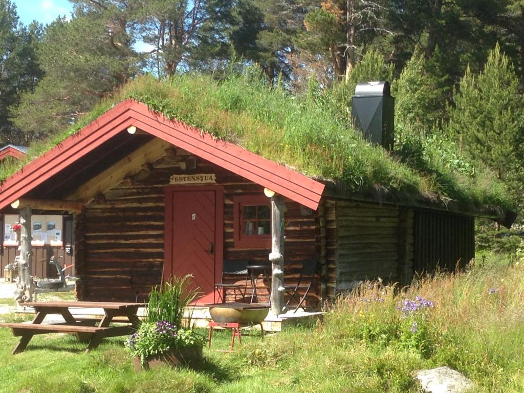 ElgaBåtstø Camping的小屋设有草屋顶、长凳和桌子