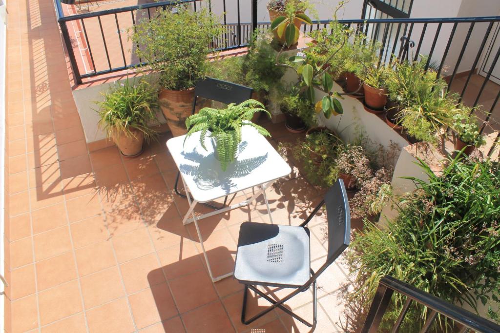 米哈斯拉波萨达旅馆的天井配有桌椅和盆栽植物