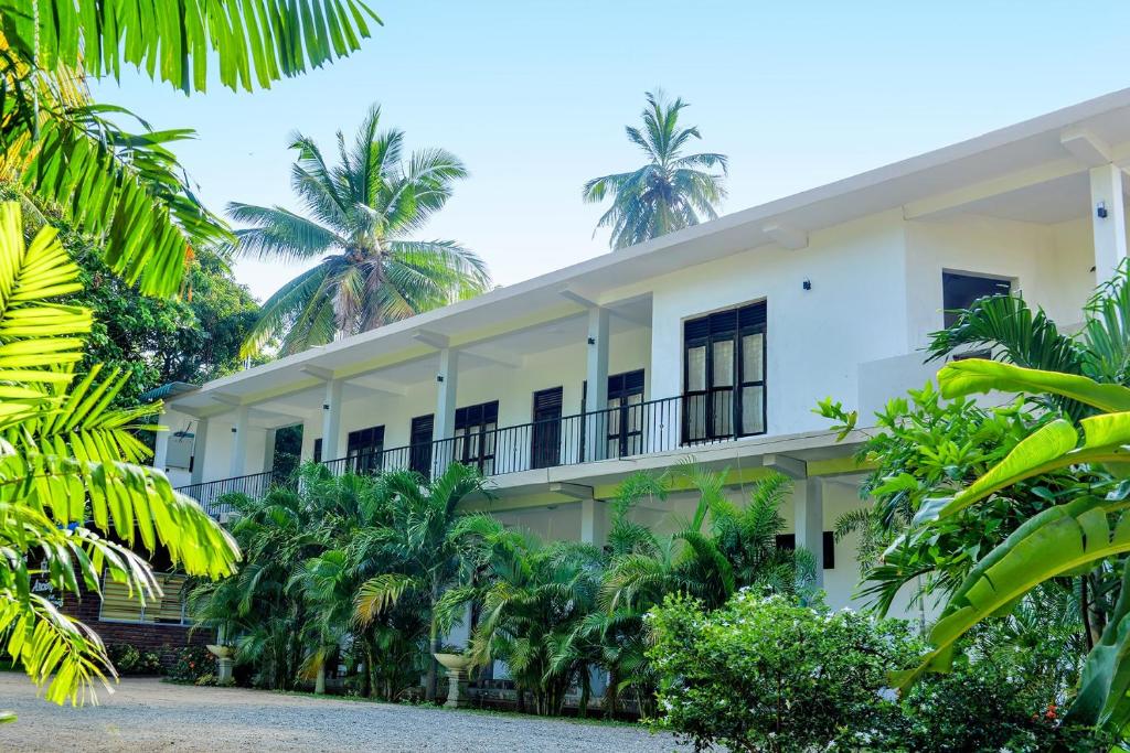 波隆纳鲁沃古村酒店的一座棕榈树建筑