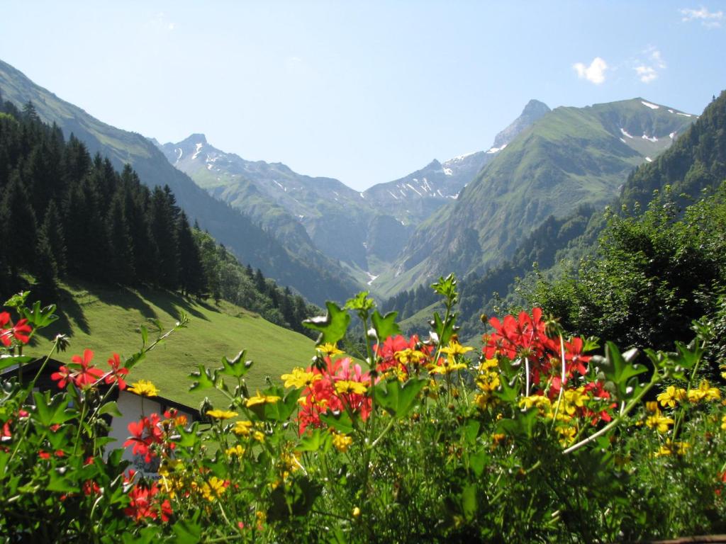 奥伯斯特多夫菲利帕拉迪斯曼酒店 的享有种满鲜花和山脉的山谷美景。