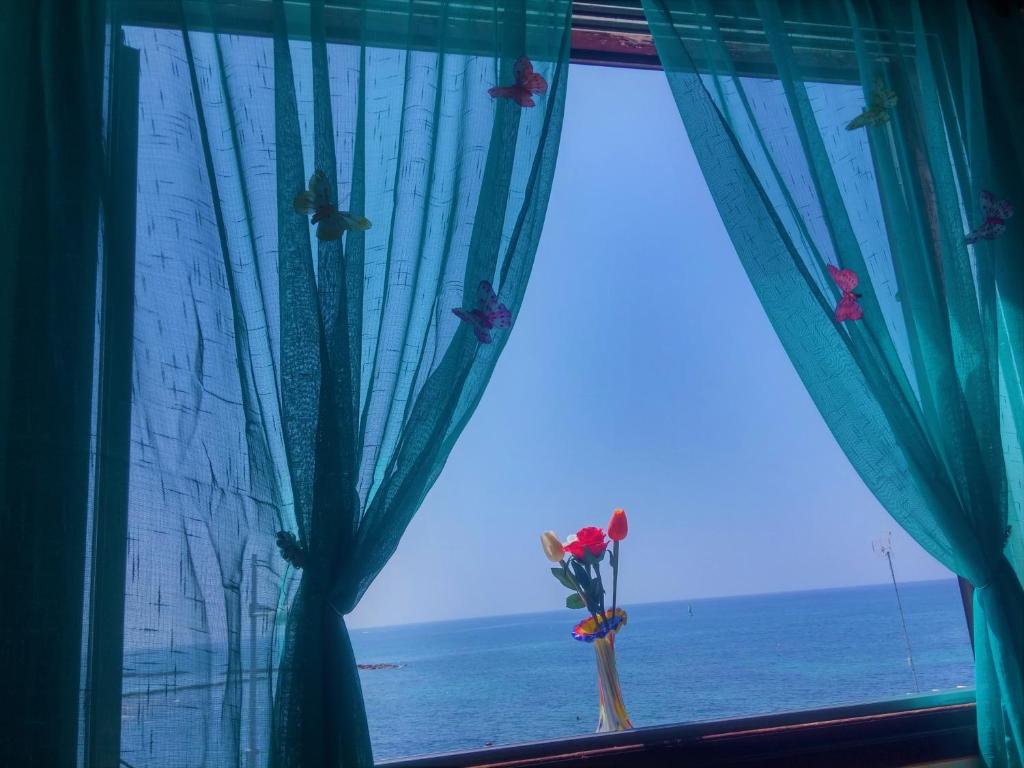 帕福斯777 Beach Guesthouse的窗户享有海洋美景,鲜花盛开