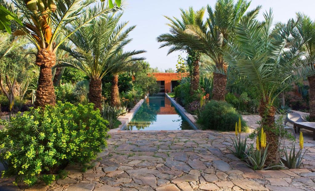 塔鲁丹特Dar al Hossoun的种有棕榈树和池塘的花园