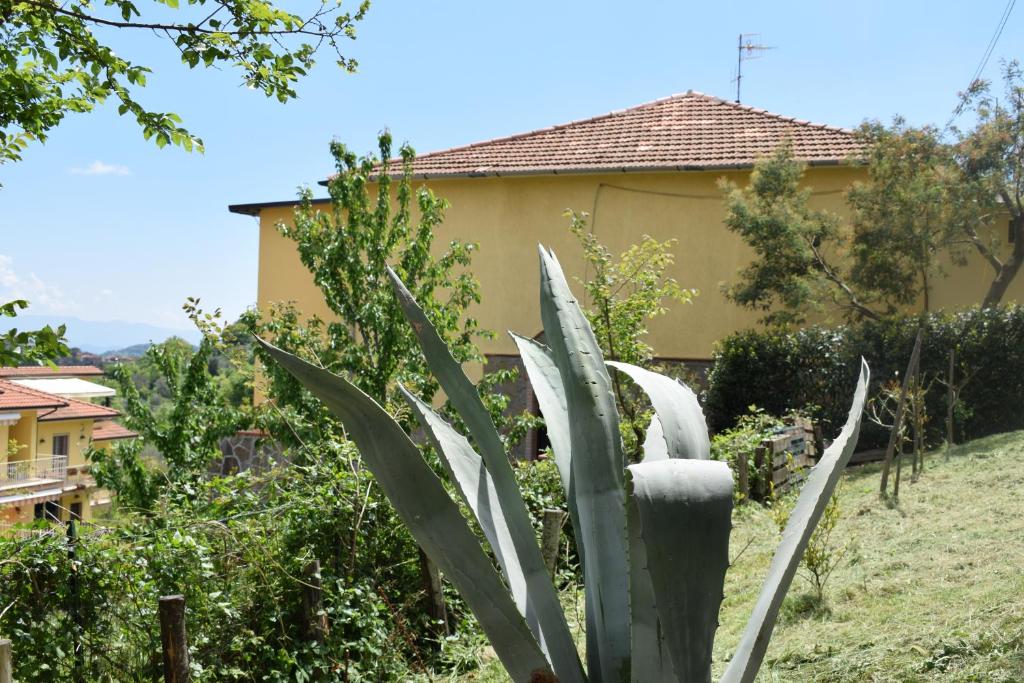 Prignano CilentoLa Vecchia Taverna B&B的花园中的植物,有房子的背景