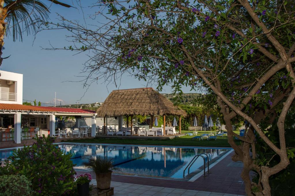 普拉坦斯埃费林公寓式酒店的一个带游泳池和茅草小屋的度假村