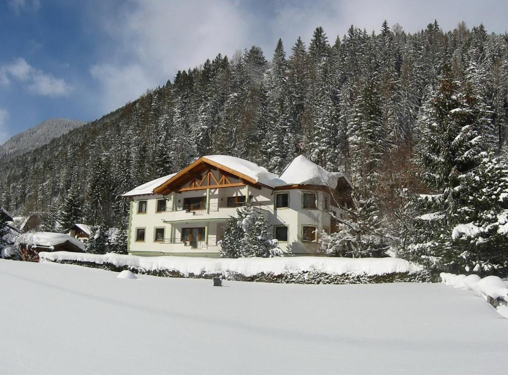 佩特诺伊阿尔贝格戴安娜旅馆的山前雪覆盖的房子