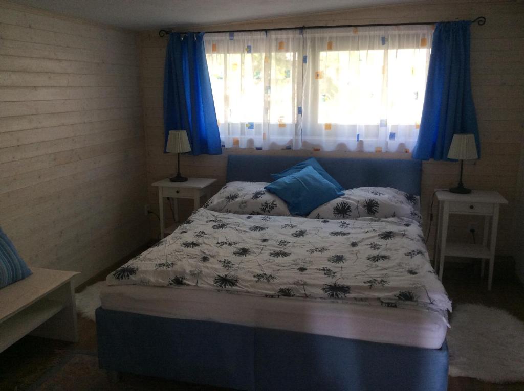 捷克布杰约维采花园公寓的卧室内的一张床铺,配有蓝色窗帘和窗户