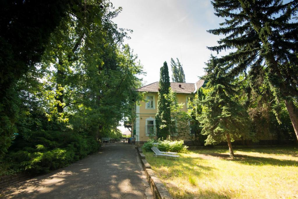 巴拉顿城堡Bendegúz Villa的黄色的房子,有一条通往房子的路径