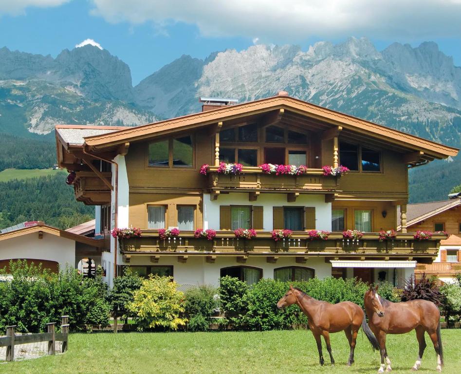 埃尔毛Landhaus Horngacher的两匹马站在房子前面