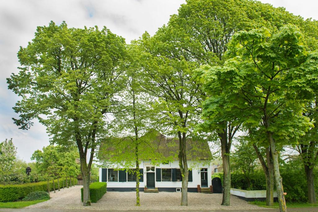 TuilDe Heeren van Tuil的前面有树木的白色房子