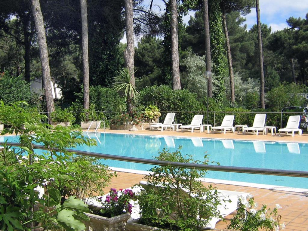 丽都斯皮纳Hotel Europa Park的一个带白色躺椅的游泳池,棕榈树