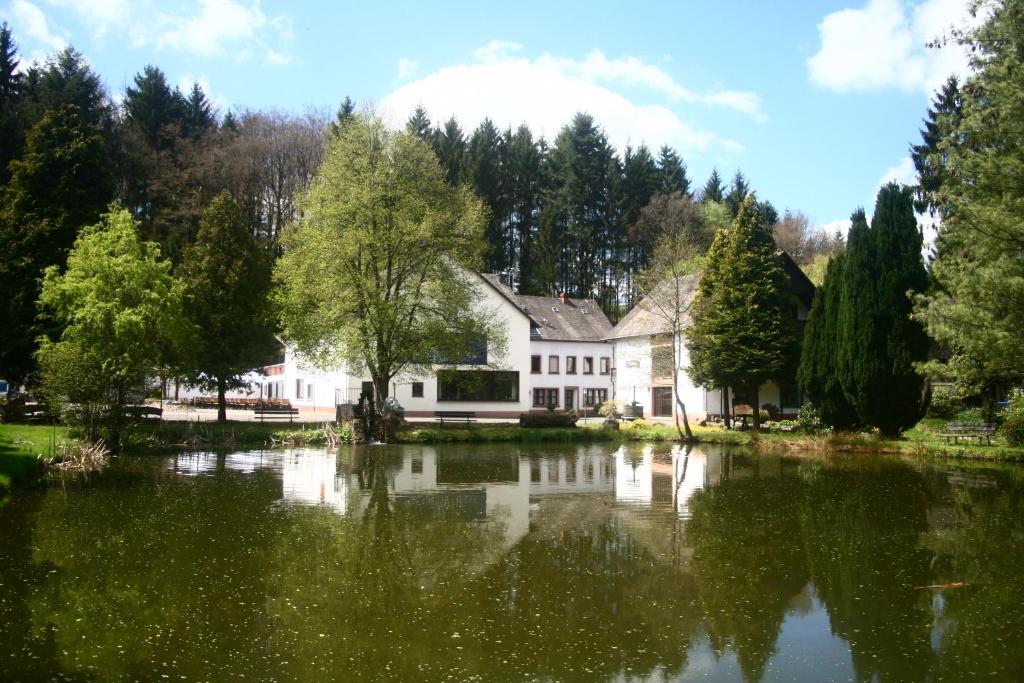 Bescheid贝驰耶德尔磨坊酒店的前面有湖泊的房子