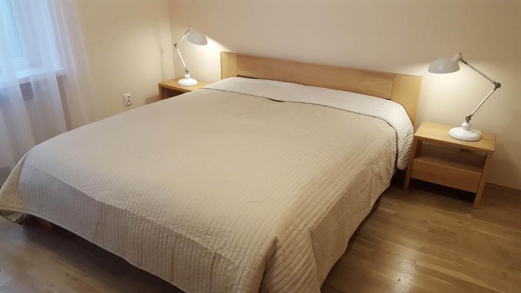 克拉科夫Apartment Katamaran的一间卧室配有一张床和两张台灯。