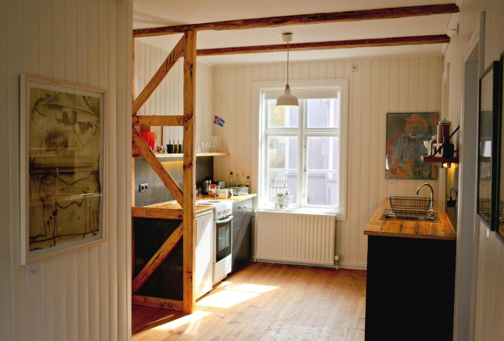 雷克雅未克雪鸟之家公寓的厨房配有炉灶和窗户。