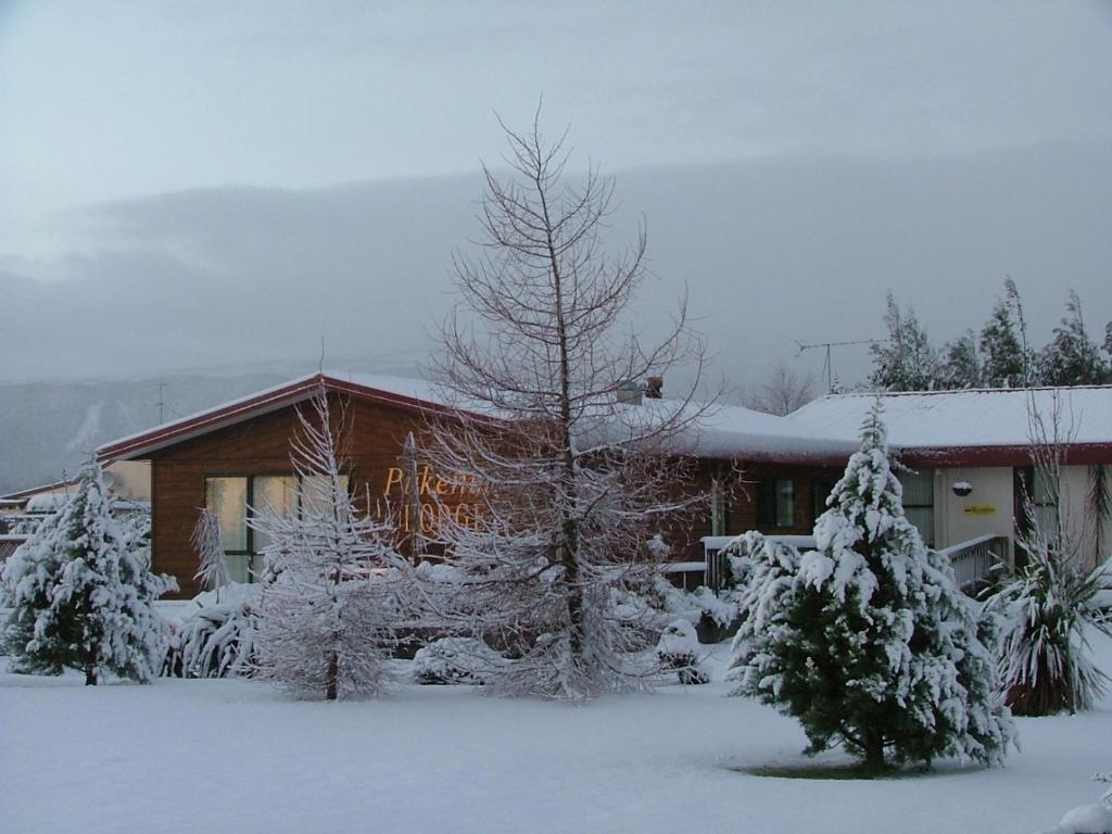国家公园Pukenui Lodge的前面有雪覆盖的树木的房子