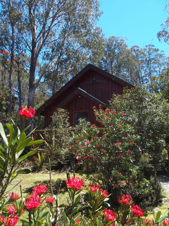 摇篮山Cradle Highlander的前面有红花的小房子