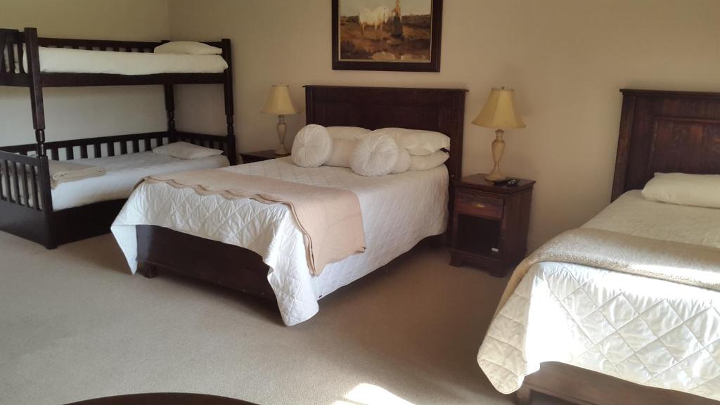 布隆方丹橄榄山乡村旅馆的一间卧室配有两张床和两张双层床。