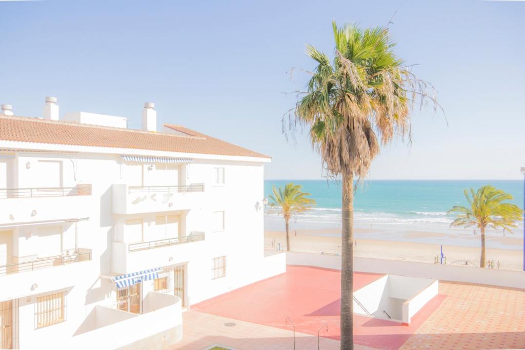 奇克拉纳－德拉弗龙特拉Apartamentos Giralda的一座棕榈树和海滩的建筑