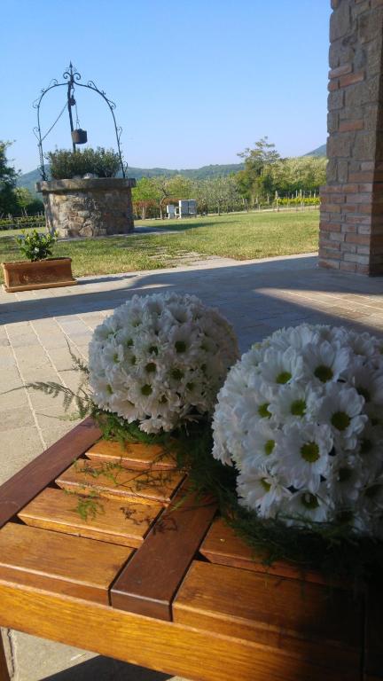 阿尔库阿佩特拉尔卡Alloggio Franciscus的两束白色花坐在长凳上