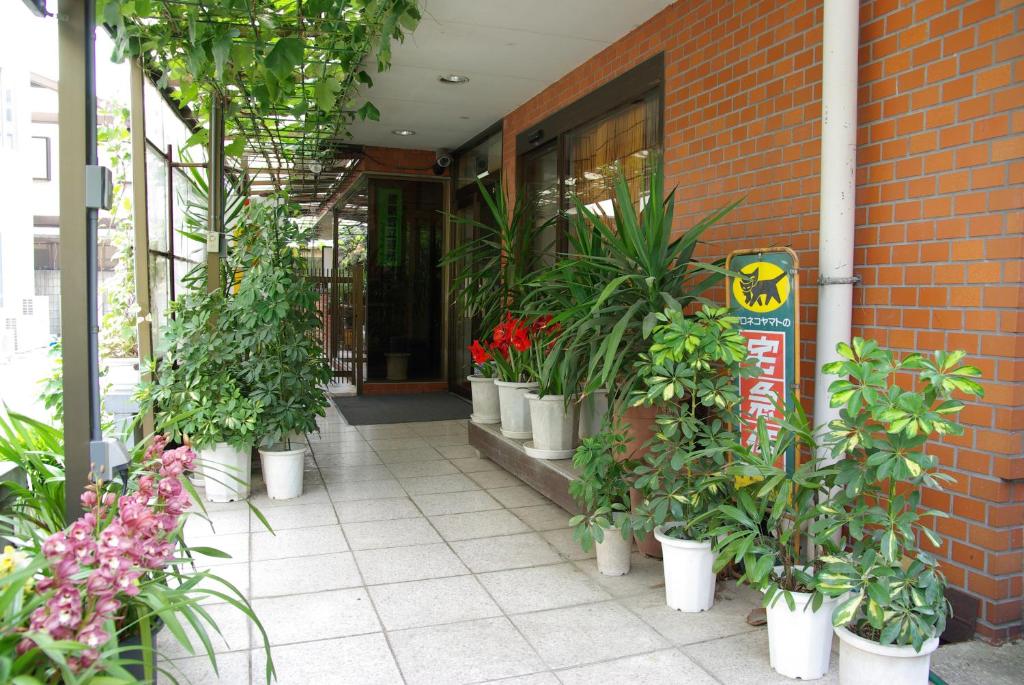 奈良世纪商务公寓的一群盆栽植物坐在建筑物外